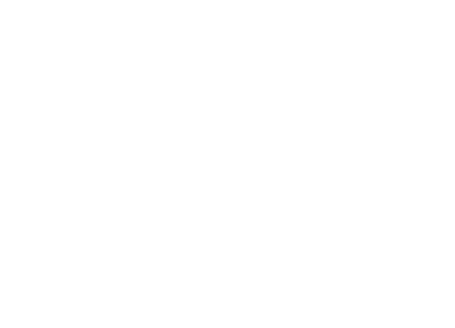 Five Musketeers LLC - Cinco Mosqueteros